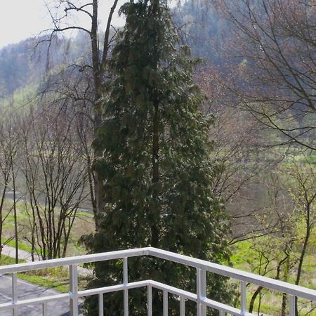 Villa Haus Elbsinfonie Bad Schandau Esterno foto