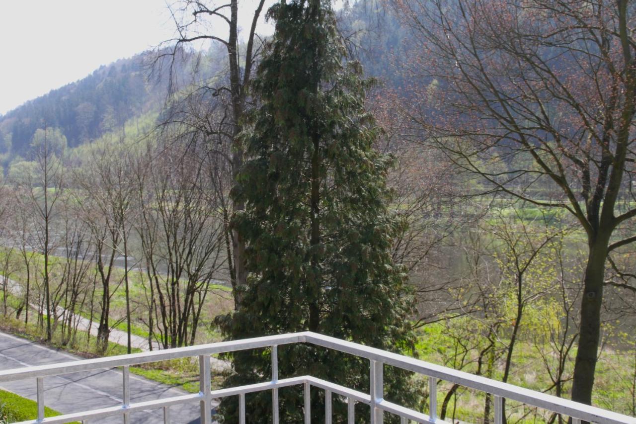 Villa Haus Elbsinfonie Bad Schandau Esterno foto